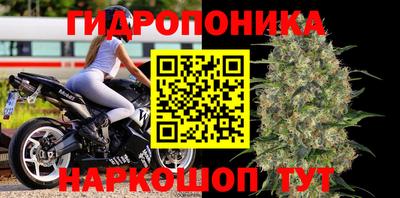 стаф Краснознаменск