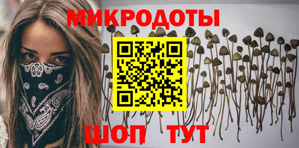 Кохма  Галлюциногенные грибы Psilocybe  Галлюциногенные грибы прущие грибы  Вход с VPN 